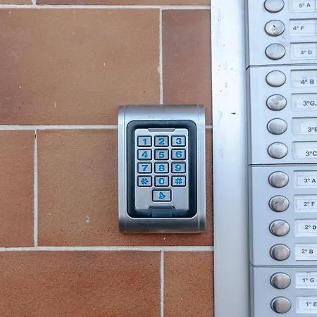 Vau In Alvor, By Mycelia 波尔蒂芒